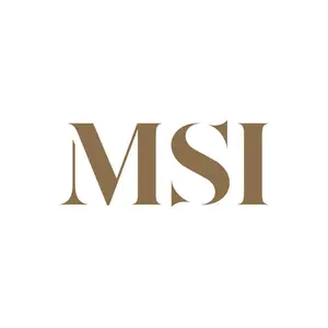 Msi Logo